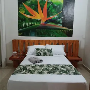 Casa-hotel Boutique El Jardín De Envigado